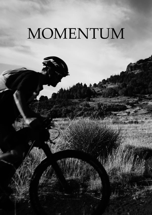 Momentum