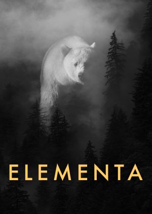 Elementa — plakat