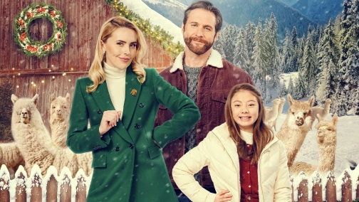 Різдво на фермі альпак