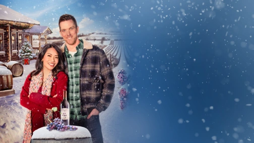 Різдво на виноробні