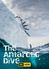 The Antarctic Dive UHD HDR — plakat