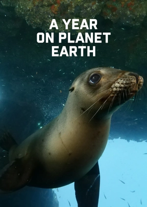 A Year on Planet Earth
