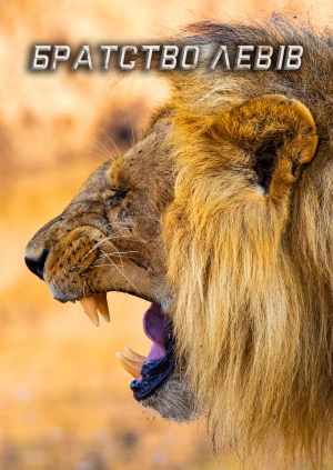 Братство левів