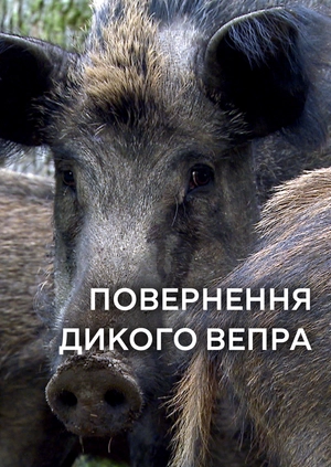 Повернення дикого вепра