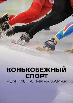 Конькобежный спорт. Чемпионат мира. Хамар