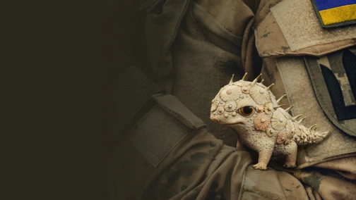 Порцелянова війна