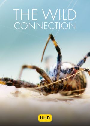 The Wild Connection UHD — plakat
