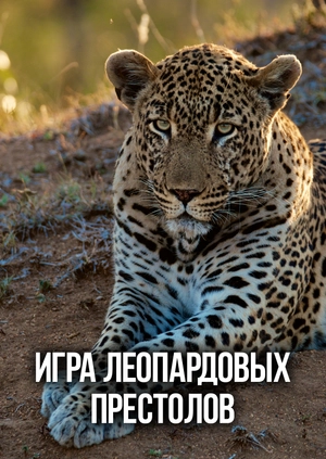 Игра леопардовых престолов