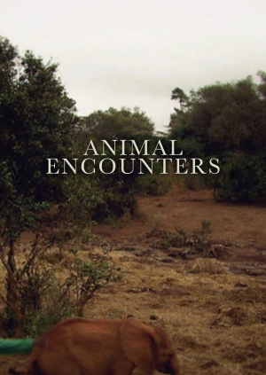 Animal Encounters