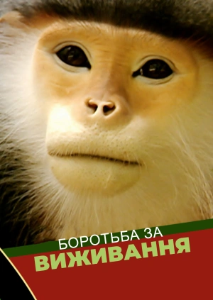 Боротьба за виживання