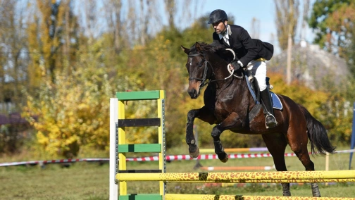 Конный спорт. Global Champions League. Шанхай